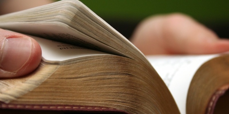 GODS WORD Image